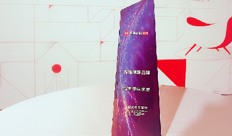 91短视频版官网下载荣登2020中国家居冠军榜，斩获“先锋创新品牌”称号！